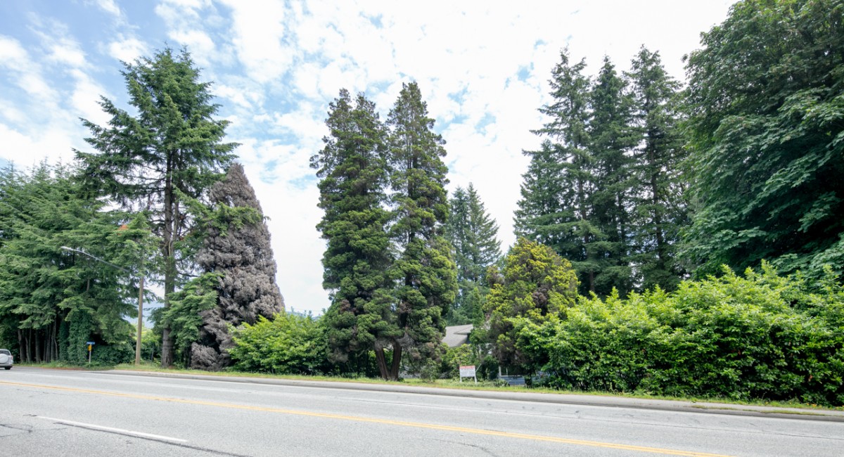 950 Taylor Way, West Vancouver, BC V7T 2J8 Image #7